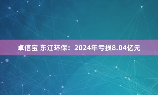卓信宝 东江环保：2024年亏损8.04亿元