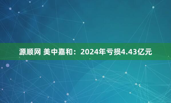 源顺网 美中嘉和：2024年亏损4.43亿元