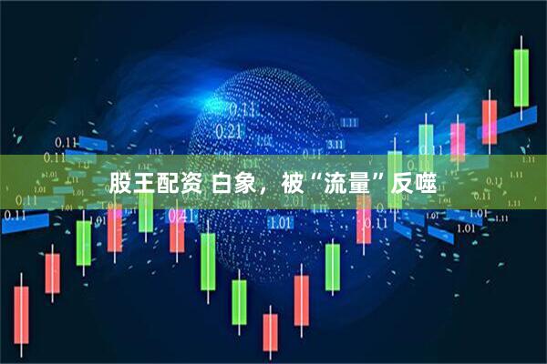 股王配资 白象，被“流量”反噬
