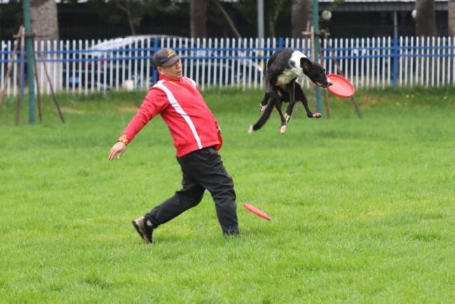 北京最大宠物乐园开园 萌宠服务+露营休闲