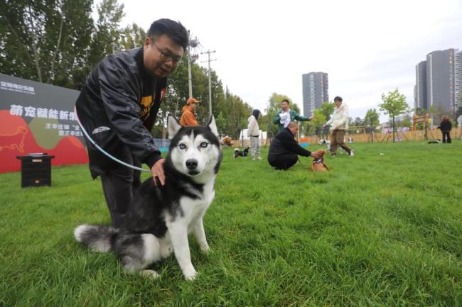 北京最大宠物乐园开园 萌宠服务+露营休闲